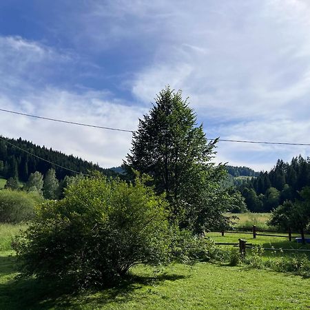 Drewniany Domek Bb Nad Rzeka Powrożnik Exteriér fotografie